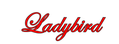 Ladybird Private Hire logo